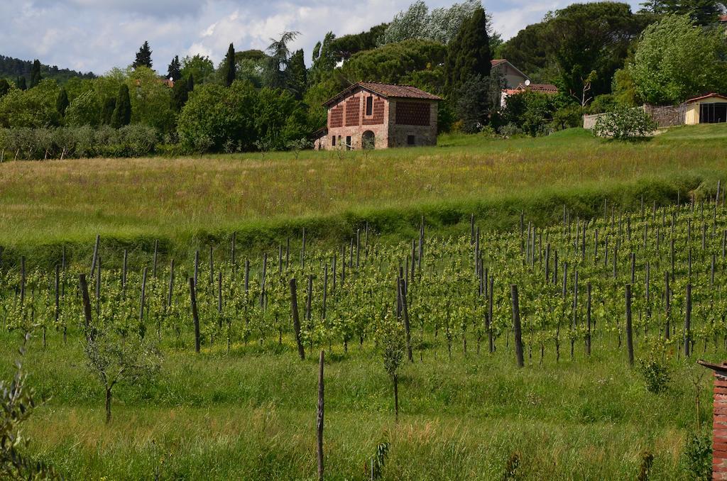 Agriturismo Al Podere Di Rosa Λούκα Εξωτερικό φωτογραφία