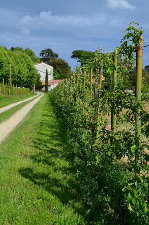 Agriturismo Al Podere Di Rosa Λούκα Εξωτερικό φωτογραφία