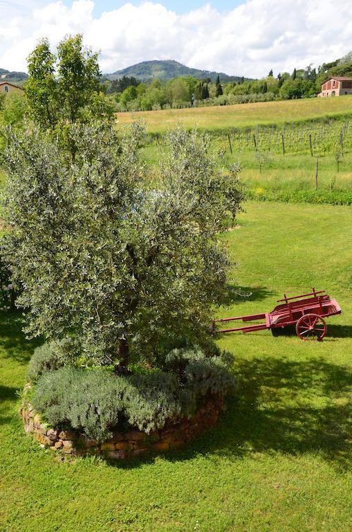 Agriturismo Al Podere Di Rosa Λούκα Εξωτερικό φωτογραφία