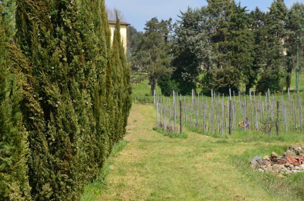 Agriturismo Al Podere Di Rosa Λούκα Εξωτερικό φωτογραφία
